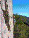 cormot-23.jpg
