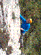cormot-27.jpg