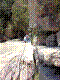 cormot-33.jpg