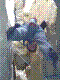 cormot-43.jpg