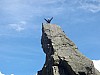 2012-stage-cham_54.jpg
