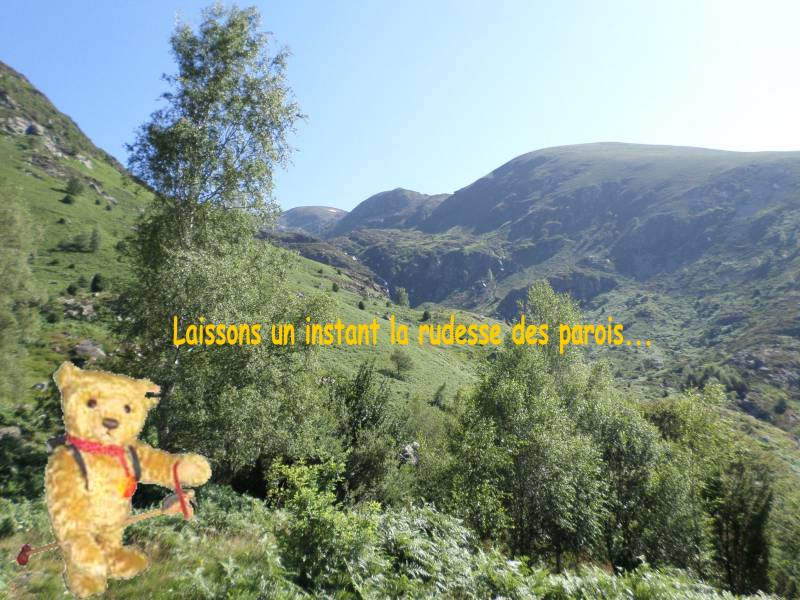 SAM_0559.jpg