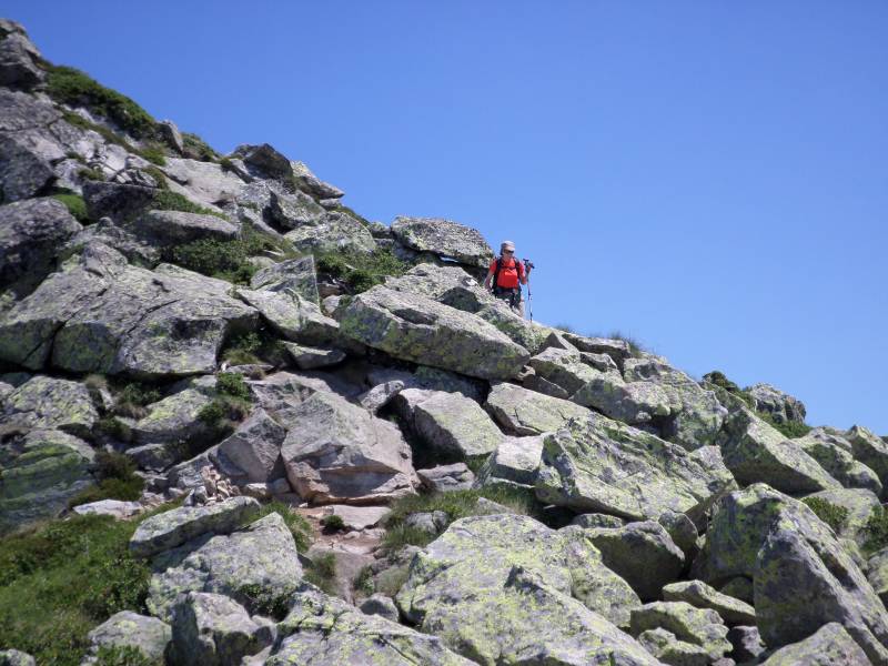 SAM_0596.jpg