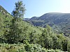 SAM_0560.jpg