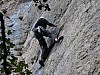 cormot-2013-53.jpg