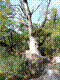 blanc-martel-11.jpg