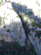 blanc-martel-38.jpg