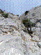 chloro-05.jpg