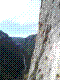 chloro-06.jpg