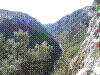 chloro-09.jpg