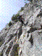 chloro-10.jpg