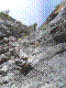 chloro-11.jpg