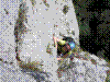 chloro-14.jpg