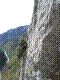 chloro-16.jpg