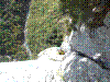 chloro-19.jpg