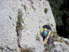chloro-21.jpg