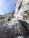 chloro-23.jpg