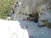 chloro-26.jpg
