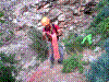 fir-03.jpg