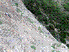 fir-09.jpg