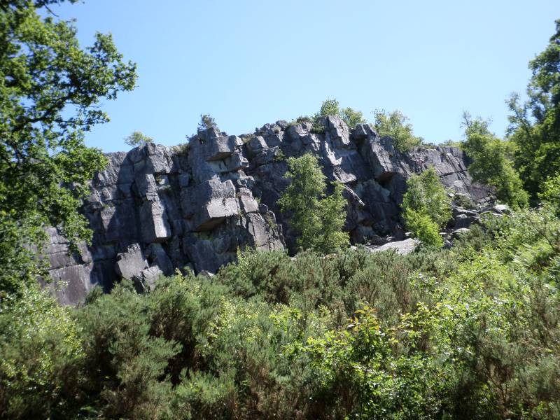 FA6-2015-1.jpg