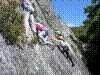 FA4-2015-23.jpg