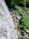 FA4-2015-25.jpg