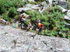 FA4-2015-28.jpg