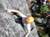FA4-2015-30.jpg