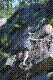 FA6-2015-23.jpg