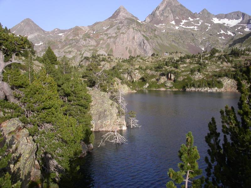 00-respomuso-04.jpg