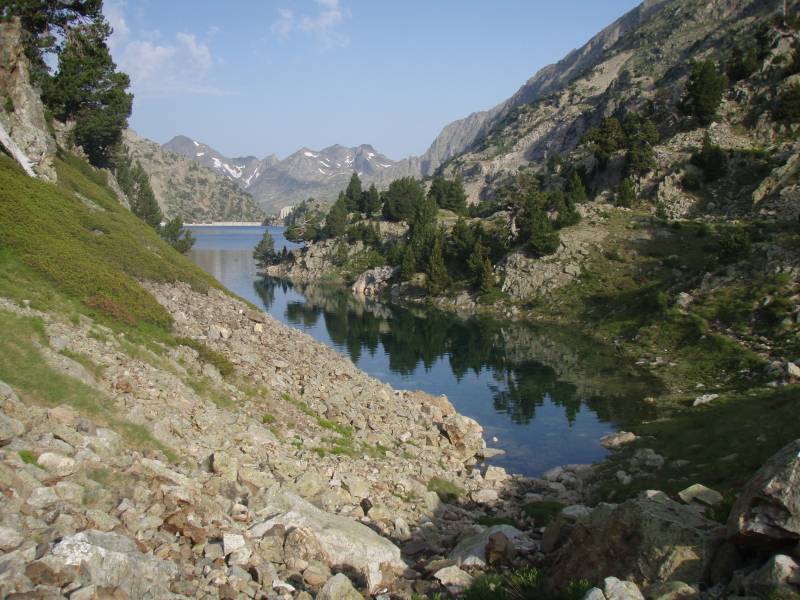 00-respomuso-05.jpg